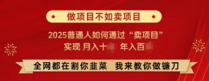 必看,做项目不如卖项目,2025普通人如何通过“卖项目”实现月入十个,年入百个-最全资源库