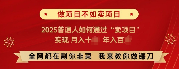 必看,做项目不如卖项目,2025普通人如何通过“卖项目”实现月入十个,年入百个-最全资源库