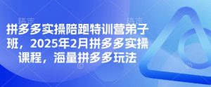 拼多多实操陪跑特训营弟子班，2025年2月拼多多实操课程，海量拼多多玩法-最全资源库