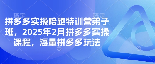 拼多多实操陪跑特训营弟子班,2025年2月拼多多实操课程,海量拼多多玩法-最全资源库