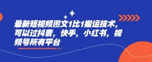 最新短视频图文1比1搬运技术,可以过抖音,快手,小红书,视频号所有平台-最全资源库