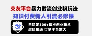 交友平台暴力截流创业粉玩法,知识付费新人引流必修课,日稳定300+精准创业粉丝,逻辑相通可多平台放大-最全资源库
