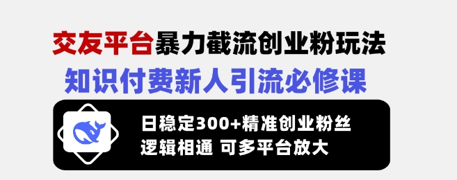 交友平台暴力截流创业粉玩法,知识付费新人引流必修课,日稳定300+精准创业粉丝,逻辑相通可多平台放大-最全资源库