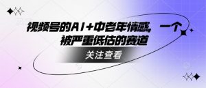 视频号的AI+中老年情感，一个被严重低估的赛道-最全资源库