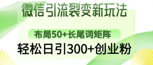 微信引流裂变新玩法：布局50+长尾词矩阵，轻松日引300+创业粉-最全资源库