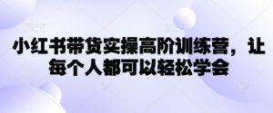 小红书带货实操高阶训练营,让每个人都可以轻松学会-最全资源库