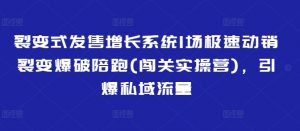 裂变式发售增长系统1场极速动销裂变爆破陪跑(闯关实操营)，引爆私域流量-最全资源库