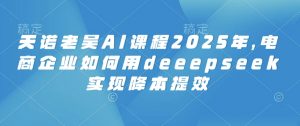 天诺老吴AI课程2025年，电商企业如何用deeepseek实现降本提效-最全资源库