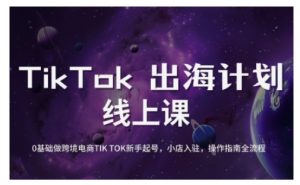 TikTok跨境电商新手起号与运营全攻略,0基础做跨境电商TIKTOK新手起号,小店入驻,操作指南全流程-最全资源库