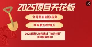 2025项目天花板普通人如何通过知识付费，实现财F自由【揭秘】-最全资源库