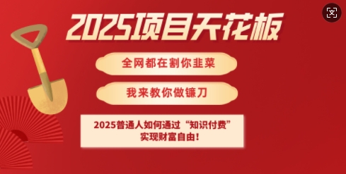 2025项目天花板普通人如何通过知识付费，实现财F自由【揭秘】-最全资源库