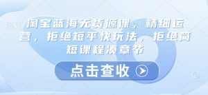 淘宝蓝海无货源课,精细运营,拒绝短平快玩法,拒绝简短课程凑章节-最全资源库