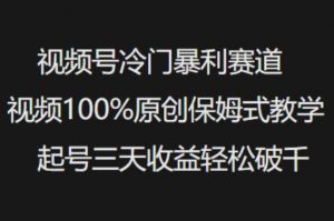 视频号冷门暴利赛道视频100%原创保姆式教学起号三天收益轻松破千-最全资源库
