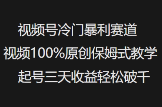视频号冷门暴利赛道视频100%原创保姆式教学起号三天收益轻松破千-最全资源库