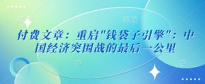 付费文章：重启”钱袋子引擎”：中国经济突围战的最后一公里-最全资源库