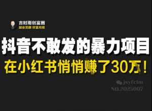 抖音不敢发的暴利项目，在小红书悄悄挣了30W-最全资源库