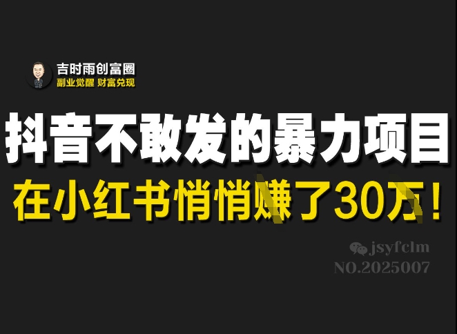 抖音不敢发的暴利项目，在小红书悄悄挣了30W-最全资源库
