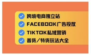 跨境电商独立站及全域流量营销，从0基础快速入门并精通跨境电商运营-最全资源库