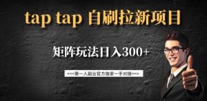 taptap拉新自刷项目,一个新用户14元,矩阵玩法日入300+-最全资源库