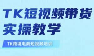 东南亚TikTok短视频带货，TK短视频带货实操教学-最全资源库