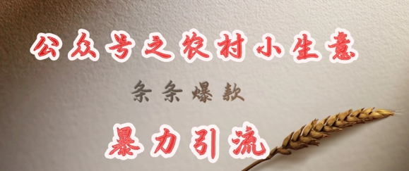 deepseek写农村小项目,条条爆款,暴力引流-最全资源库