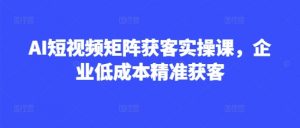 AI短视频矩阵获客实操课，企业低成本精准获客-最全资源库