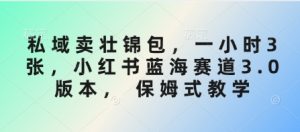 私域卖壮锦包,一小时3张,小红书蓝海赛道3.0版本, 保姆式教学-最全资源库