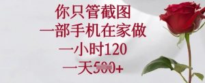 你只管截图，一部手机在家做，一小时120.一天5张【揭秘】-最全资源库