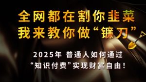 全网都在割你韭菜，我来教你做镰刀，2025普通人如何通过知识付费，实现财F自由【揭秘】-最全资源库