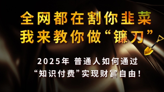 全网都在割你韭菜，我来教你做镰刀，2025普通人如何通过知识付费，实现财F自由【揭秘】-最全资源库