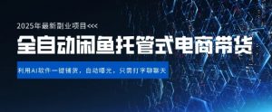 【闲鱼全自动电商带货】三年磨一剑，一朝露锋芒，长期稳定项目，单日稳定变现5张【揭秘】-最全资源库