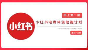2025小红书虚拟电商实战课，从0到1打造无货源店铺，AI+爆款笔记轻松变现-最全资源库