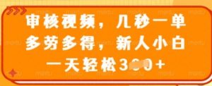 审核视频，几秒一单，多劳多得，新人小白一天轻松3张【揭秘】-最全资源库