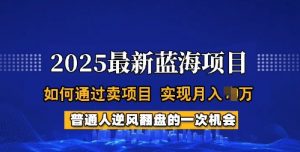 2025蓝海项目,普通人如何通过卖项目,实现月入过W,全过程【揭秘】-最全资源库