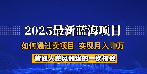 2025蓝海项目,普通人如何通过卖项目,实现月入过W,全过程【揭秘】-最全资源库