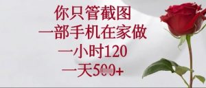 你只管截图，一部手机在家操作，一小时120.一天5张【揭秘】-最全资源库