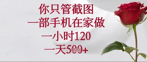 你只管截图，一部手机在家操作，一小时120.一天5张【揭秘】-最全资源库