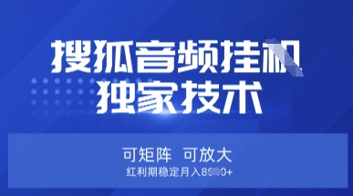 【搜狐音频挂G】独家技术,可矩阵可放大,红利期稳定月入8k【揭秘】-最全资源库