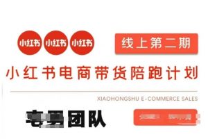 小红书电商带货课2期，月利润20个的小红书电商的有货源，无货源，虚拟产品，付费投流等整套玩法-最全资源库