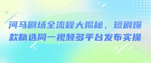 河马剧场全流程大揭秘，短剧爆款精选同一视频多平台发布实操-最全资源库