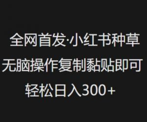 全网首发,小红书种草无脑操作,复制黏贴即可,轻松日入3张-最全资源库