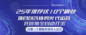 25年推荐这10个副业项目包含褂鸡类、代运营托管类、全自动打金类【揭秘】-最全资源库