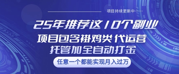 25年推荐这10个副业项目包含褂鸡类、代运营托管类、全自动打金类【揭秘】-最全资源库
