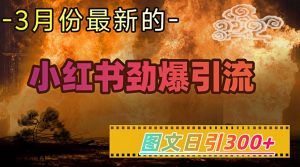 小红书超劲爆引流手段,图文日引300+轻松变现1W-最全资源库