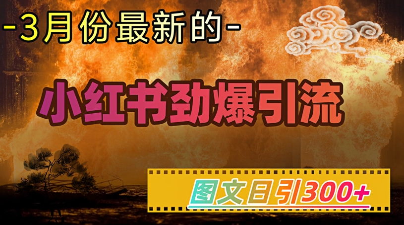 小红书超劲爆引流手段,图文日引300+轻松变现1W-最全资源库