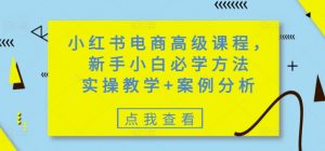 小红书电商高级课程,新手小白必学方法,实操教学+案例分析-最全资源库
