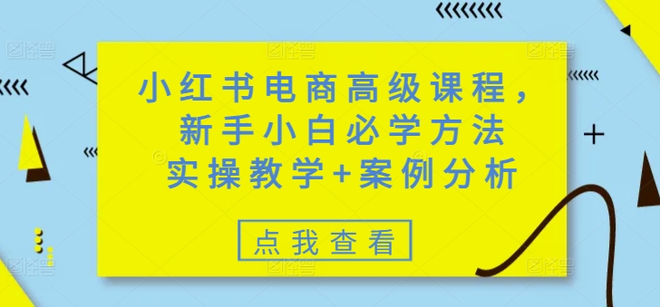 小红书电商高级课程,新手小白必学方法,实操教学+案例分析-最全资源库