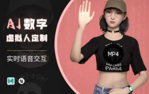 Ai数字人虚拟(智能体)实时语音交互特训营，​自行定制超写实角色AI数字人交互技术-最全资源库