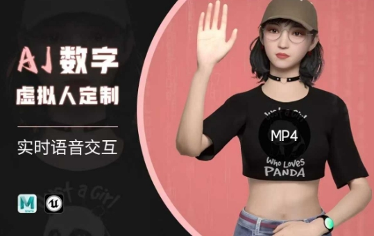 Ai数字人虚拟(智能体)实时语音交互特训营，​自行定制超写实角色AI数字人交互技术-最全资源库