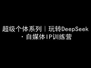 超级个体系列，玩转DeepSeek·自媒体IP训练营，deepseek教程-最全资源库